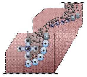 細碎機內部結構圖